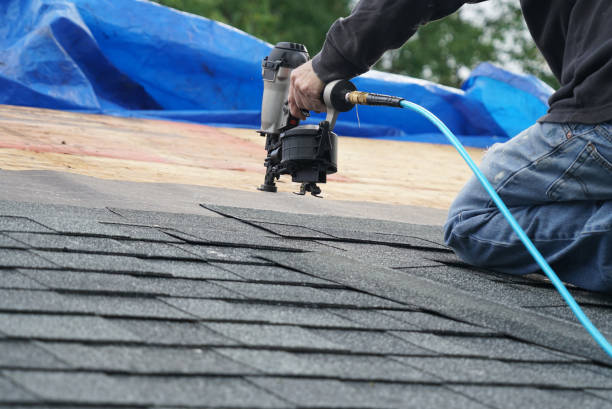 Best Roof Gutter Cleaning  in Stafford, TX